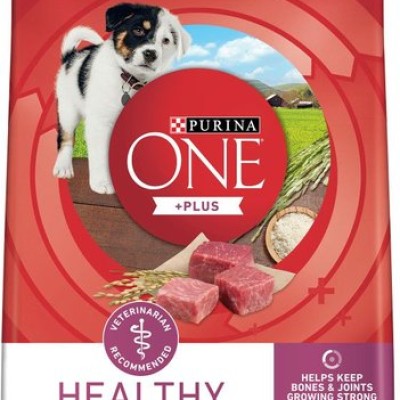 Purina ONE SmartBlend Healthy Puppy Formula Lamb Dry Dog Food, 1.81-kg bag